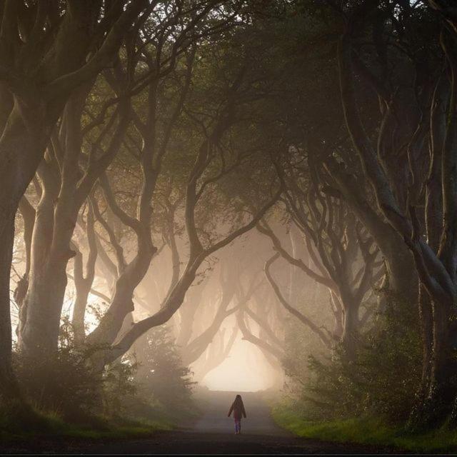 Further Space At Thornfield Luxury Glamping Pods, The Dark Hedges, Ballycastle Балимъни Екстериор снимка