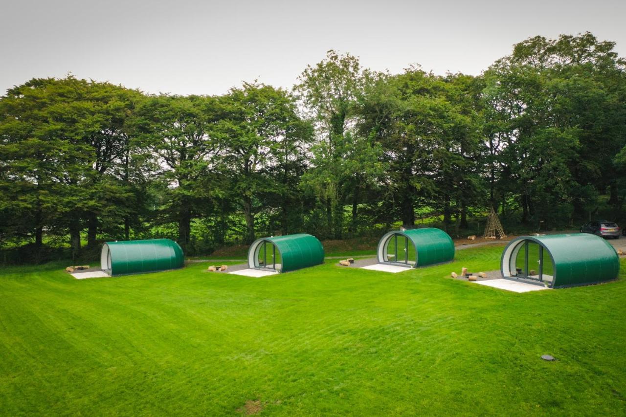 Further Space At Thornfield Luxury Glamping Pods, The Dark Hedges, Ballycastle Балимъни Екстериор снимка